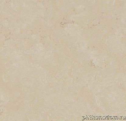 Forbo Marmoleum Decibel 371135 cloudy sand Линолеум натуральный 3,5 мм