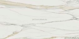 Rex Ceramiche I Classici Di Rex Gold Glossy 750673 Керамогранит 160х320 см