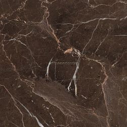 Caesar Anima Dark Emperador Керамогранит 60х60 см