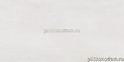 Alma Ceramica Bonita TWU09BNT004 Настенная плитка 24,9х50