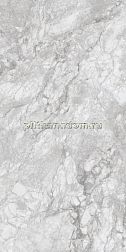 Concor 230167 Polar Grey Polished Керамогранит 60x120