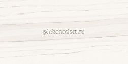 Ariostea Marmi Classici Zebrino Bianco Luc Rett Керамогранит 120х60 см