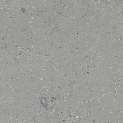 Гранитея Arkaim G213 Серый матовый Керамогранит 60х60 см