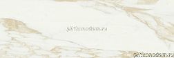 Baldocer Adaggio Gold Rectificado Настенная плитка 40x120 см