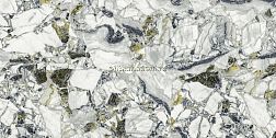 Atlas Concorde Russia Forte del Marmi Quark Ceppo Ap. Forest Rett (610010002960) Серый Матовый Керамогранит 80x160 см