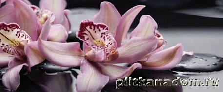 Cerrol Porto orchide lila Панно 50x120 (4 пл.)