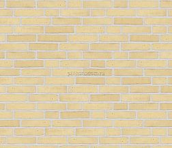 Randers Tegl Classica Gelb Handstrichziegel RT 207 DNF Кирпич ручной формовки 22,8х2х5,4 см