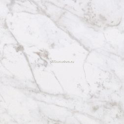 Casalgrande Padana Kontinua Marmoker Bardiglio Bianco Naturale Керамогранит 118х118 см