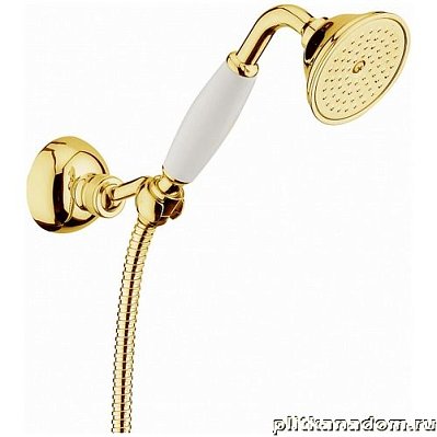 Webert Shower Set AC0704010 Душевой гарнитур настенного монтажа (золото)