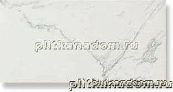 Atlas Concorde Marvel Calacatta Extra Керамогранит 30x60 см