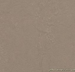 Forbo Marmoleum Concrete 3709-370935 silt Линолеум натуральный 2,5 мм