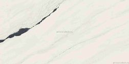 Atlas Concorde Russia Forte del Marmi 610015000656 Панда Вайт Чер Керамогранит 60x120