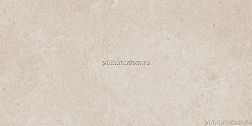 Rako Limestone DALSE801 Beige Бежевый Глянцевый Кеамоганит 30x60 см