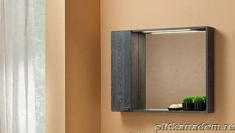 ЭкоМебель Модена Шкаф с зеркалом в корпусе Prem3, 80
