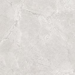 Flavour Granito LKF1G2019160 Glossy Серый Полированный Керамогранит 60x60 см