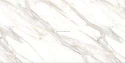 Absolut Gres Calacatta Gold Белый Матовый Керамогранит 60x120 см
