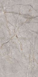 Colortile Harmony Gris Серый Лаппатированный Керамогранит 60x120 см