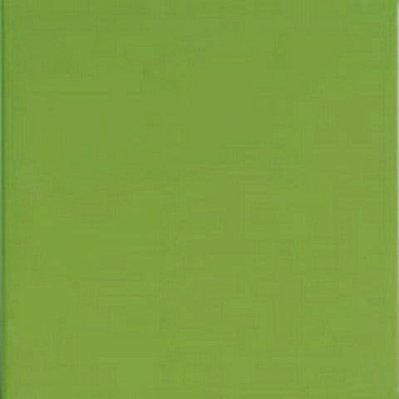 Ceramicalcora Sigma Nat.Verde Oliva Керамогранит 20x20