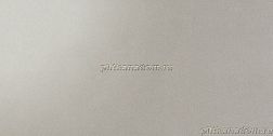 Atlas Concorde Arkshade Grey Lappato Керамогранит 45х90 см