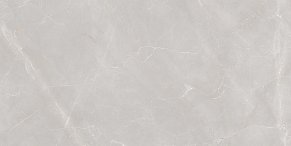 Granoland Керамогранит Natural Armani Light Grey Polish Серый Полированный 60x120 см