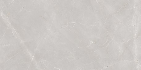 Granoland Керамогранит Natural Armani Light Grey Polish Серый Полированный 60x120 см