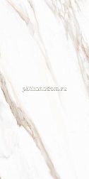 Tuscania White Marble Calacatta Oro Rett Белый Матовый Ректифицированный Керамогранит 61х122,2 см