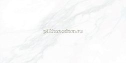 Гранитея Пайер G281 Элегантный Матовая (MR) Керамогранит 120х60 см