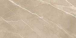 New Trend Essential 60120ESE21P Marron Полированный Керамогранит Керамогранит 60x120