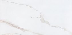 Sina 2483 Ramila Polished Белый Полированный Керамогранит 60x120 см
