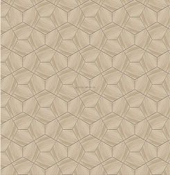 Jet Mosaic Pentagon Floor PEN-WDL Мозаика 67,4x53,2 см