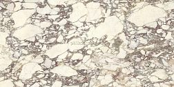 Ariostea Marmi Classici Calacatta Viola Luc Микс Полированный Керамогранит 60х120 см