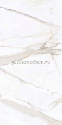 Primavera PR203 Regal Carara Polished Керамогранит 60x120 см