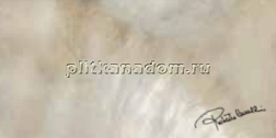 Roberto Cavalli Brightpearl Ivory Firma Rett Декор 40x80 см