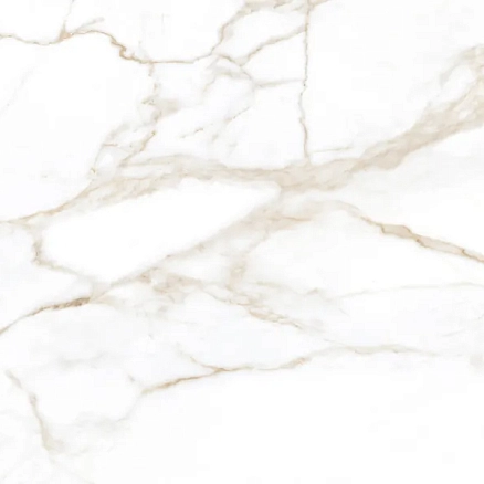 Zenith White