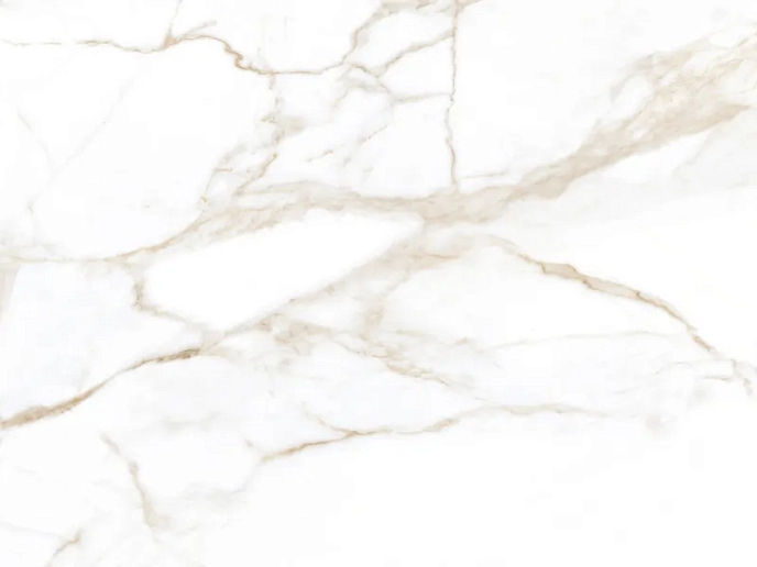 Zenith White