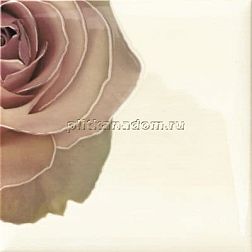 Mainzu Lucciola Cuore 9 Декор (миксованная - в коробке 25 шт) 20х20 см