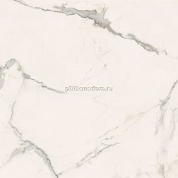 Estima Solutions Marble Callacata Light MB06 Керамогранит 120x120 см