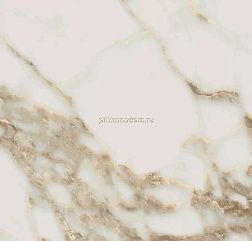 Pamesa Ceramica Arabescato Gold Rect Бежевый Матовый Ректифицированный Керамогранит 60x60 см