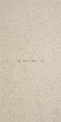 Stylnul (STN Ceramica) Inout Caliope Beige Rect Бежевый Матовый Ректифицированный Керамогранит 60х120 см
