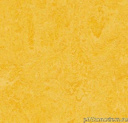 Forbo Marmoleum Real 3251 lemon zest Линолеум натуральный 2,5 мм