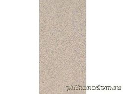 Rako Taurus Granit TRUSA073 Nevada Напольная плитка 30x60 см