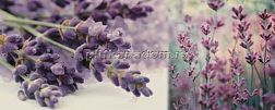 Ibero Charme Decor Dreams B Декор 20х50 см