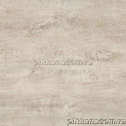 TGT Ceramics Rosewood Y2W66093C Palissandro beige Керамогранит 60х60 см