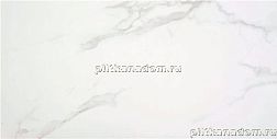 Stylnul (STN Ceramica) Purity White Sat. Rect Керамогранит 60x120 см