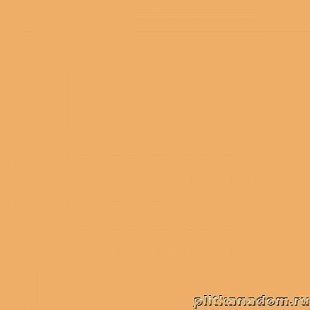 Colorita