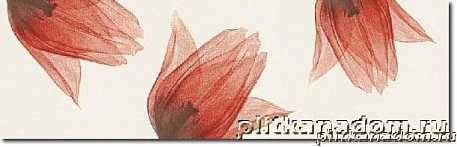 Polcolorit Tango LS Rosso Tulipan A Бордюр 25х8