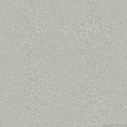 Italon Солид Сильвер Серый Натуральный Ректифицированный Керамогранит 60х60 см