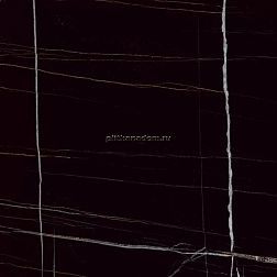 Concor Laurent High Glossy Polished Керамогранит 60x60 см 2