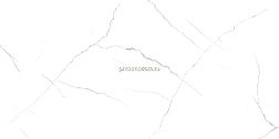 LV Granito Eden Statuario Authentic Белый Матовый Керамогранит 60х120 см
