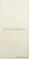 Finezza Коллекция №10 D-1E60415 Настенная плитка 30х60 см